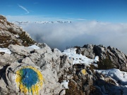 58 bollo giallo-azzurro in bella vista...